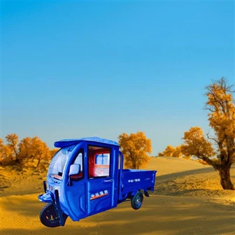 Cerbydau Trydan Cludo Tair Olwyn